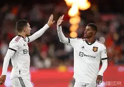 爱游戏体育入口-勒沃库森围绕国王杯主帅复盘布莱顿回应争议备战德甲,曼联回应争议备战欧冠看傻球迷